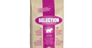 Royal Canin Selection Junior Yavru Kopek Mamasi 15 Kg Yavru Kopek Kopek Vucut Yapisi