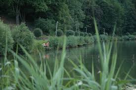 Kellemes strandszakasza, fesztiválos vízi színpada, elszórt horgász stégei és körbeölelő sétánya van. Bank Mapio Net