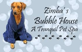 Bubbles pet salon & spa, williamsville, new york. Pet Grooming Salon Cat Dog Grooming Service Shop In Palmetto At Pet S Life Naturally