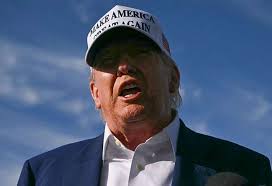 Alexander Borge Guimaraes