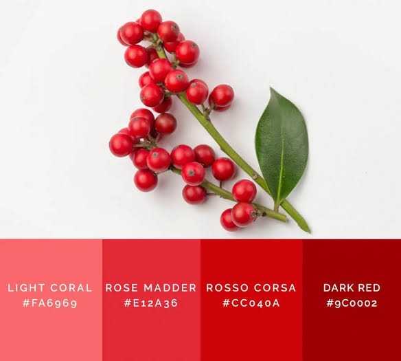 99 Shades of Red Color with Names, HEX, RGB, & CMYK (2026) • Colors  Explained