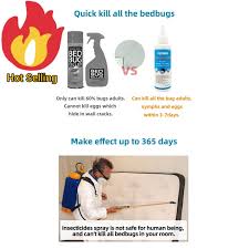 Top 5 Best Bed Bug Sprays (2024) | Today'S Homeowner