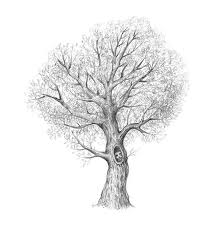 Wie Zeichnet Man Einen Baum Design Illustration Website Entwicklung Computerspiele Und Mobile Anwendungen