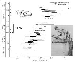 Pelycodus Evolution
