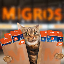 Ak Cat Simdi Migros Ta