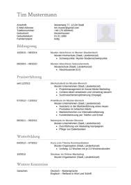 The europass cv builder makes it easy to create your cv online. Curriculum Vitae Cv 77 Lebenslauf Muster Vorlagen 2021 Ld