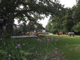 Bauhaus Garten Minimalistisch Garten Munchen Von Soulgarden By Alexandra Lehne