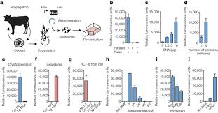 Cryptosporidium parvum is a coccidian parasite that affects the intestinal and respiratory epithelium of vertebrates. Genetic Modification Of The Diarrhoeal Pathogen Cryptosporidium Parvum Nature