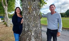 Photo Prs de Vitr ils organisent une guinguette lors de cette fte de ...