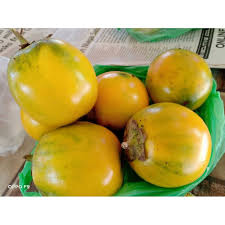 Resepi ikan masak asam yang sedap dan mudah |assalamualaikum. Buy Terung Asam Dayak Ori Sarawak Seetracker Malaysia