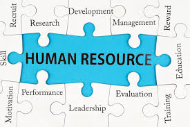 Image result for Human Resources
