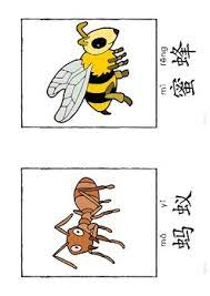 昆虫词汇卡片中文昆虫闪卡小书简体繁體无拼音3合一 comics wallpaper teaching