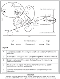 Image result for Trichoneura schlechteri