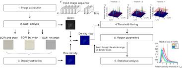 Quantifying Protein Densities On Cell Membranes Using Super Resolution Optical Fluctuation Imaging Nature Communications