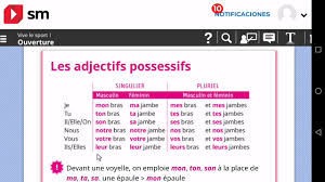 Mon ton son notre votre leur. Lecon 2 Le Corps Les Adjectifs Possessifs Youtube