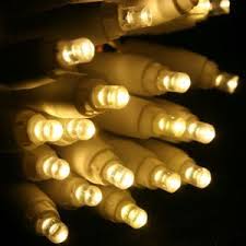 20 Warm White 5mm Led Craft Lights White Wire Led Christmas Lights Battery Operated Christmas Lights Battery Powered Led Lights
