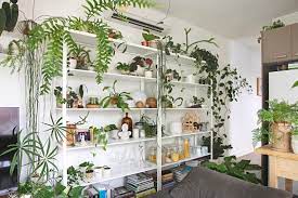 While it can hold herbs useful in cooking, it can also showcase pretty blooms for a bright pop of color, making it a valuable addition to home decor. How To Display Houseplants 98 Of Our Favorite Plant Display Ideas Apartment Therapy