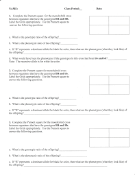 After its homolog's name in other organisms or may be assigned a gene id (see . Punnett Squares Instruction Practice Assignment 50 Pts Kathy Egbert Library Formative