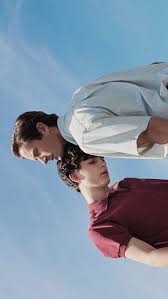 Call Me By Your Name Call Me Your Name Wallpaper Timothee Chalamet