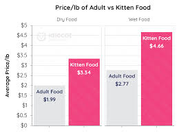 Kitten Food Vs Adult Cat Food What Are The Differences