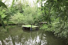 La résidence jardin des plantes se situe 45 rue guid� , 80090 amiens. Festival Des Hortillonnages D Amiens La Magie Des Jardins Flottants