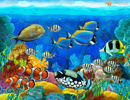 Beautiful Coral Fish Aquarium Wallpaper Underwater Wallpaper Fish Painting Fish Wallpaper