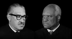 Spray painted 🦝🦝