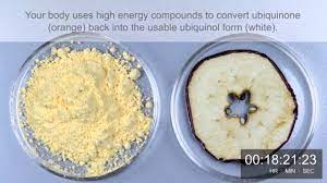 But this formula contains the highly bioavailable ubiquinol coq10 to better support the. Why Kaneka Ubiquinol Is Better Than Coq10 In 30 Seconds Explained Ubiquinol Org