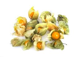 Image result for Physalis pubescens