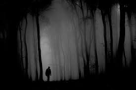 Image result for seeking darkness over the light of truth
