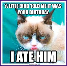 Happy Birthday Memes With Funny Cats Dogs And Animals Grumpy Cat Birthday Funny Grumpy Cat Memes Grumpy Cat Humor