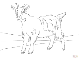 Ausmalbild Niedliche Ziege Ausmalbilder Kostenlos Zum Ausdrucken Animal Coloring Pages Coloring Pages Cute Goats