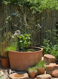 Save money online with garden pots deals, sales, and discounts march 2021. 5 Of Our Best Small Garden Ideas With Indigenous Plants Of South Africa Random Harvest News