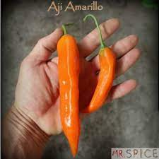Pimenta Peruana Aji Amarillo 40 Sementes Com Alta Germinacao Shopee Brasil