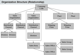 sap sd organizational structure free sap sd training