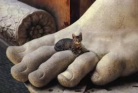 A cat perched on the colossal foot of Constantine's statue, Capitoline Museums, Rome.