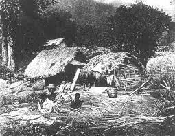 dhivehi bavana