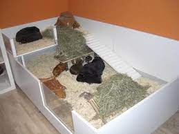 Weitere ideen zu meerschweinchen gehege, meerschweinchen, gehege. Individuelle Mobel Selber Bauen Meerschweinchen Gehege Meerschweinchen Meerschweinchenstall