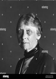 The stang hi-res stock photography and images