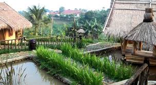 Untuk itu banyak peternak yang menginginkan kualiatas pakan yang bagus. Restoran Di Bogor Yang Wajib Untuk Dikunjungi Portal Seputar Cimanggu Bogor