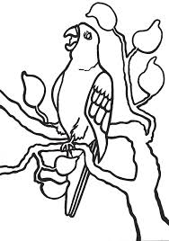 Check spelling or type a new query. Free Printable Parrot Coloring Pages For Kids