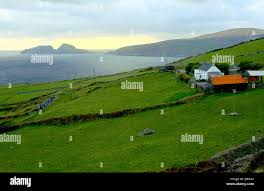 Image result for Chascanum schlechteri