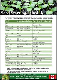 Growing Vegetables From Seed Planting Seeds Starting Guide