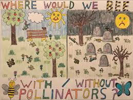Use these 8 awesome contest ideas on your page's timeline. Pa Environment Digest Blog Pa Conservation Districts Announce Student Pollinator Poster Contest Winners