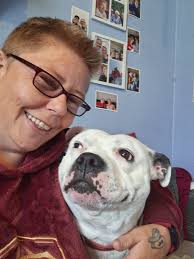 So this is my boy Benson, I want to ask does anyone's else's furbaby get 💩  zoomies? He only has zoomies when he's had a 💩 and that's how I know he's