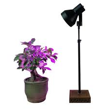 The stand can range in height from 23.5 to 36, allowing for the right adjustment for the plant! Led Grow Light Desk Stand Grow Lamp Indoor Plant Adjustable Height For Home Indoor Plants Veg Flower Buy Online In Germany At Desertcart De Productid 47243800