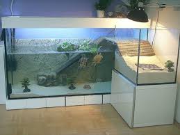 Kak Obustroit Akvaterrarium Dlya Vodnyh Cherepah Cherepahi Turtle Pond Aquatic Turtle Tank Turtle Aquarium