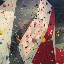 Vertical ventures is a top merchant due to its average rating of 4.5 stars or higher based on a minimum of 400 ratings. Zlag Blue