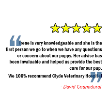 7 reviews of at home veterinary care this is a veterinary care that truely cares. Clyde Veterinary Hospital Vets In Casey Serving Cranbourne Berwick Narre Warren Officer Hampton Park Lynbrook Lyndhurst Pakenham