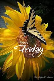 Good Morning Happy Friday Naturbilder Schmetterlingsbilder Blumenbilder